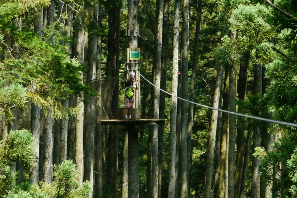 フォレストアドベンチャー 小田原 神奈川 Matcha やさしい日本語