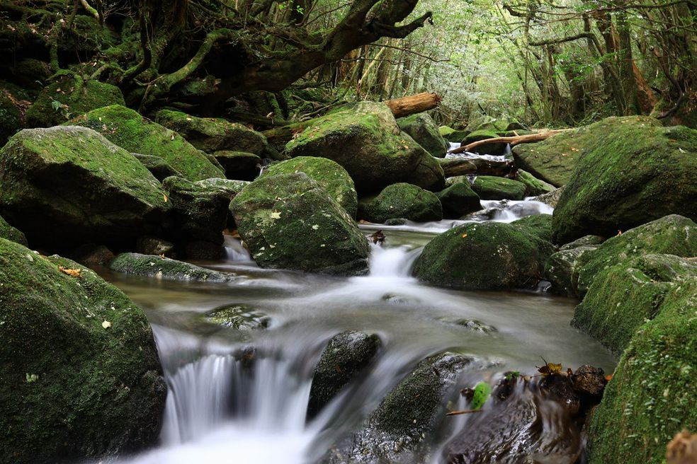 Shiratani Unsui Gorge - Kagoshima | MATCHA - JAPAN TRAVEL WEB MAGAZINE