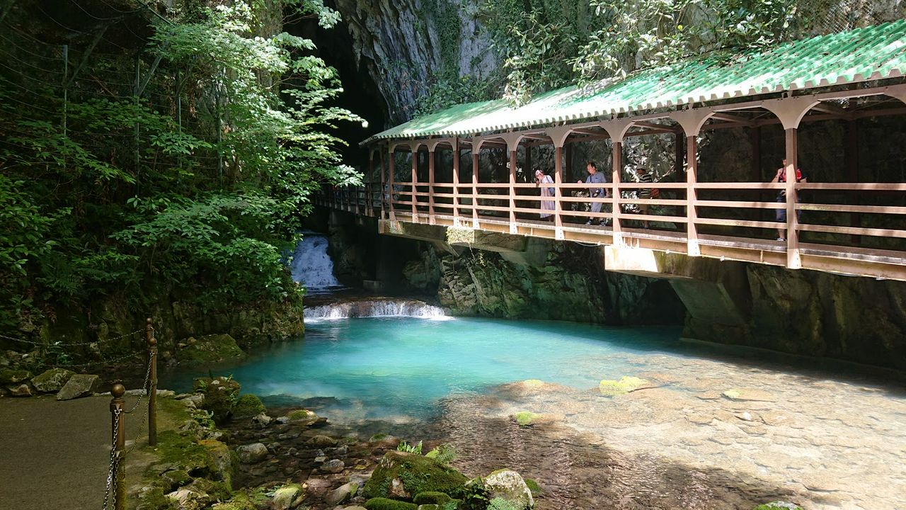 Akiyoshidai Plateau - A Breathtaking Karst Landscape In Yamaguchi ...