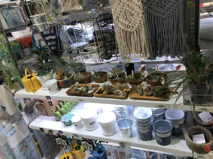 3coins Plus ルミネ池袋店 東京 Matcha やさしい日本語