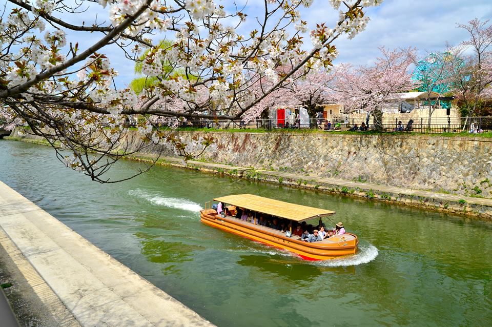 Image result for Biwako-sosui Canal sakura