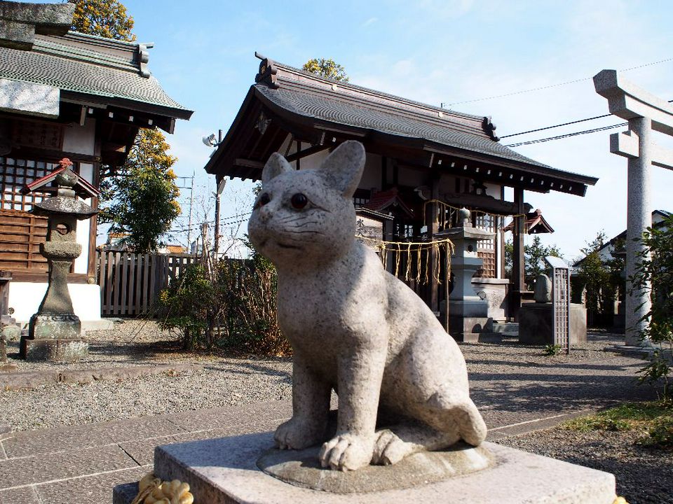 猫奴们路过东京 可别错过这七间猫咪神社 寺庙 Matcha 日本旅游网络杂志