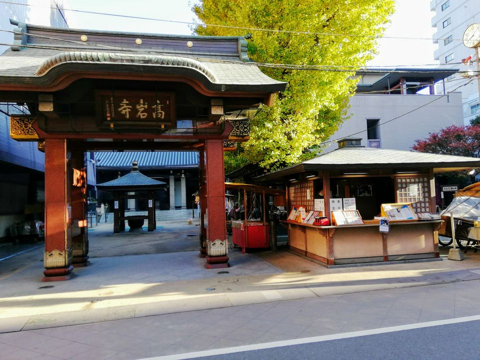 到東京求健康 連毛小孩的健康都顧到的六大神社寺廟 Matcha 日本線上旅遊觀光雜誌