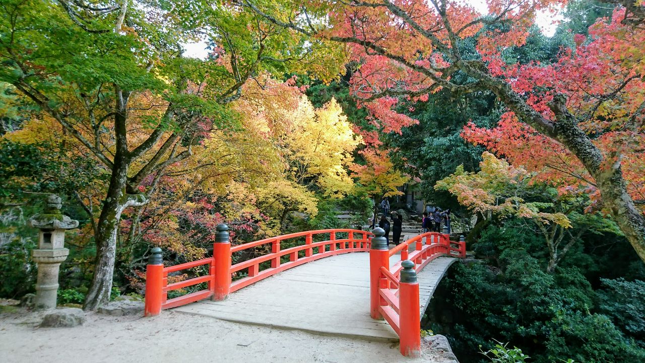 秋季旅行看這裡 值得一去的廣島紅葉觀賞景點top5 年版 Matcha 日本線上旅遊觀光雜誌