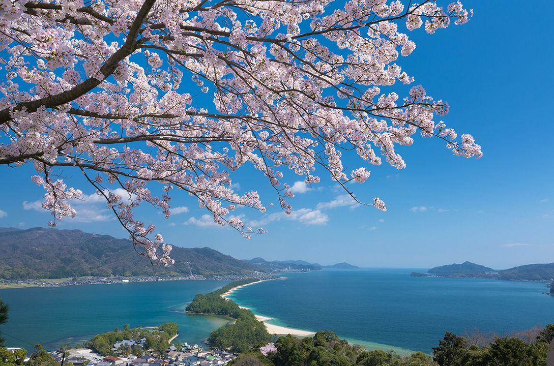 天橋立 日本三景 天橋立 必去景點與交通詳細彙整 Matcha 日本線上旅遊觀光雜誌