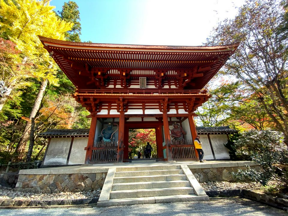 与大自然融为一体 奈良县 室生寺 Matcha 日本旅游网络杂志