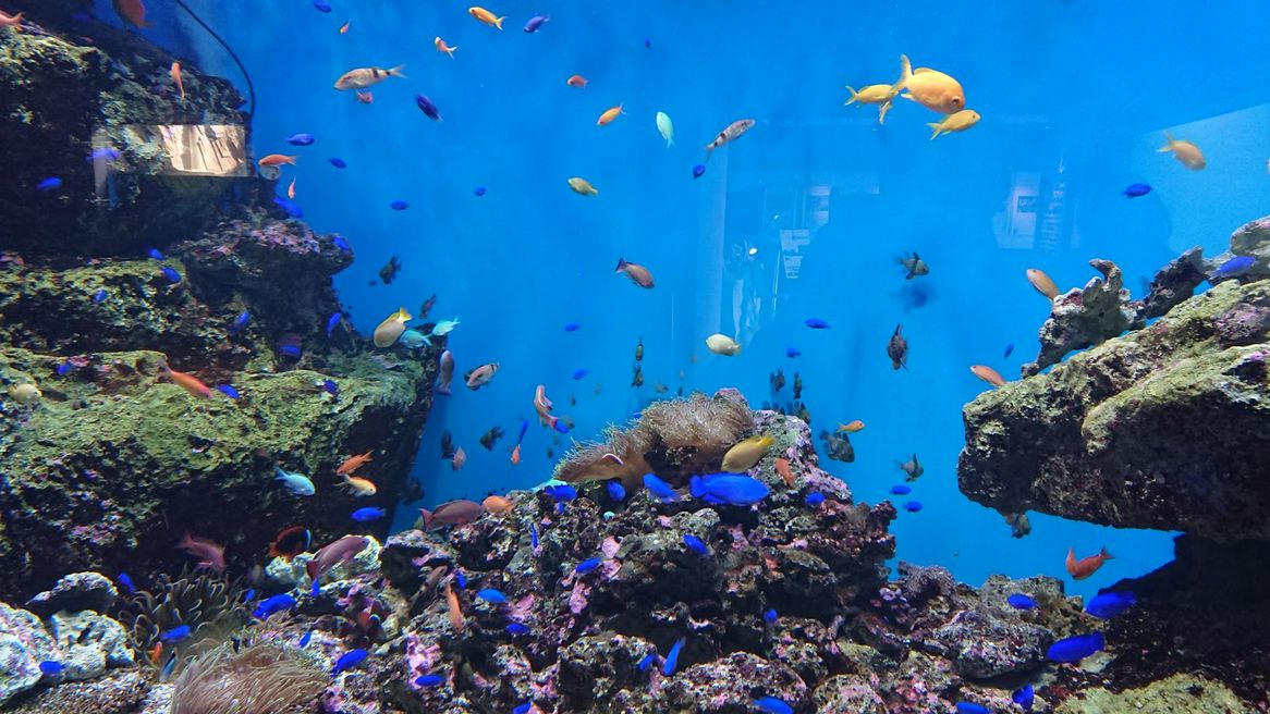 仙台海洋森林水族館