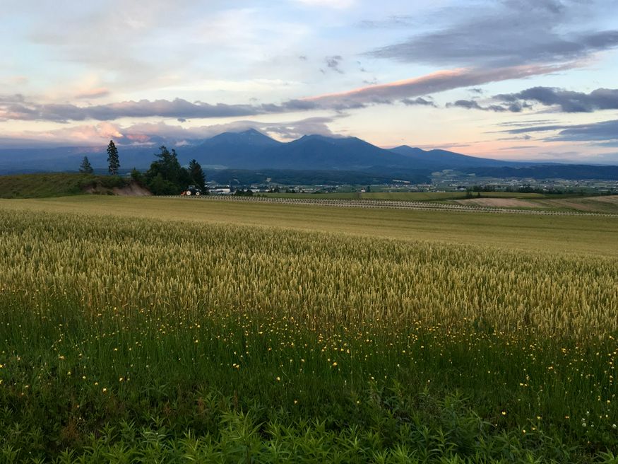 かみふらの八景 パノラマロード江花 北海道 Matcha 訪日外国人観光客向けwebマガジン