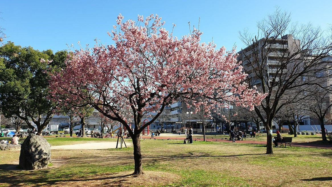 山王公園