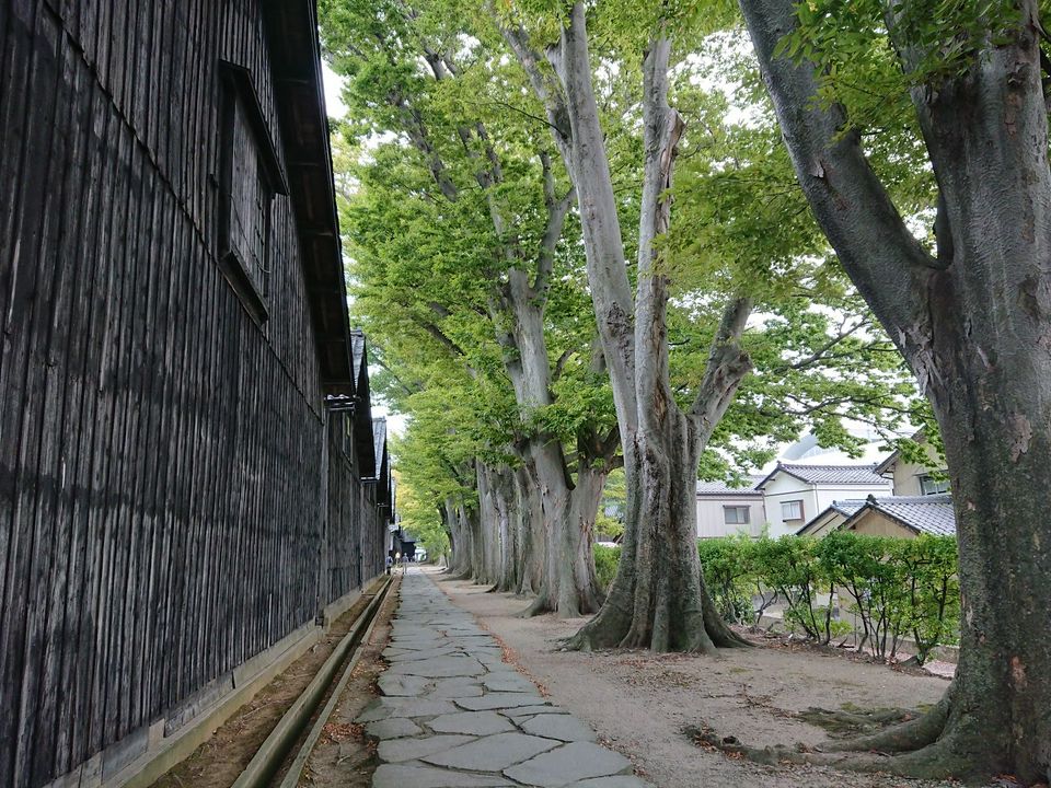 【山形酒田鶴岡】暢遊懷舊藝術港鎮〜體驗傳統舞蹈與極品海鮮之旅 MATCHA 日本線上旅遊觀光雜誌