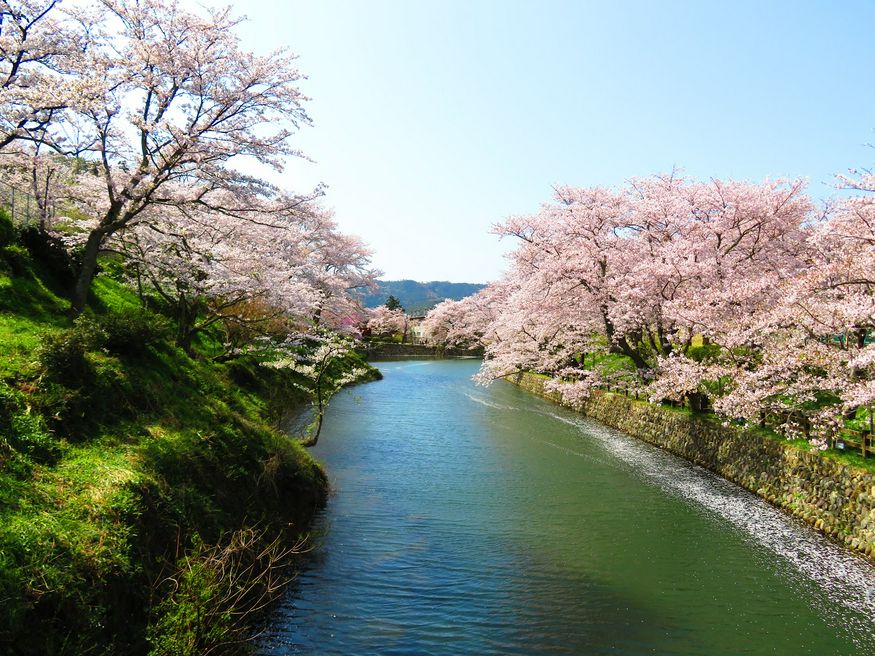 鹿野城跡公園 鳥取 Matcha 訪日外国人観光客向けwebマガジン