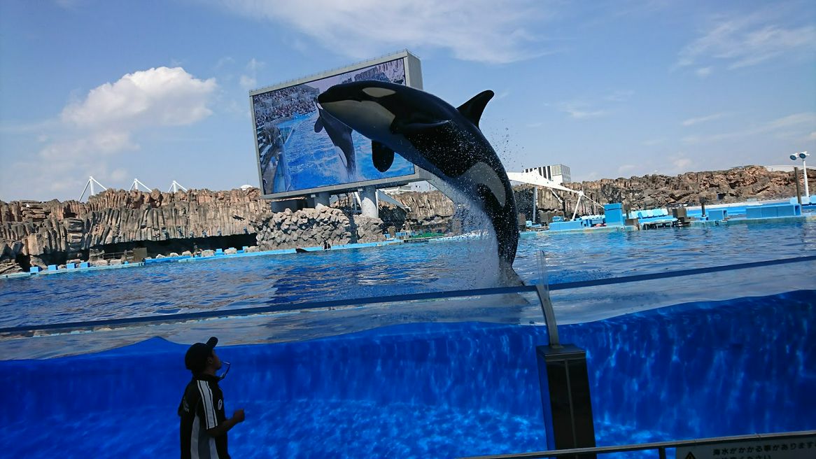 名古屋港水族館 愛知 Matcha 訪日外国人観光客向けwebマガジン