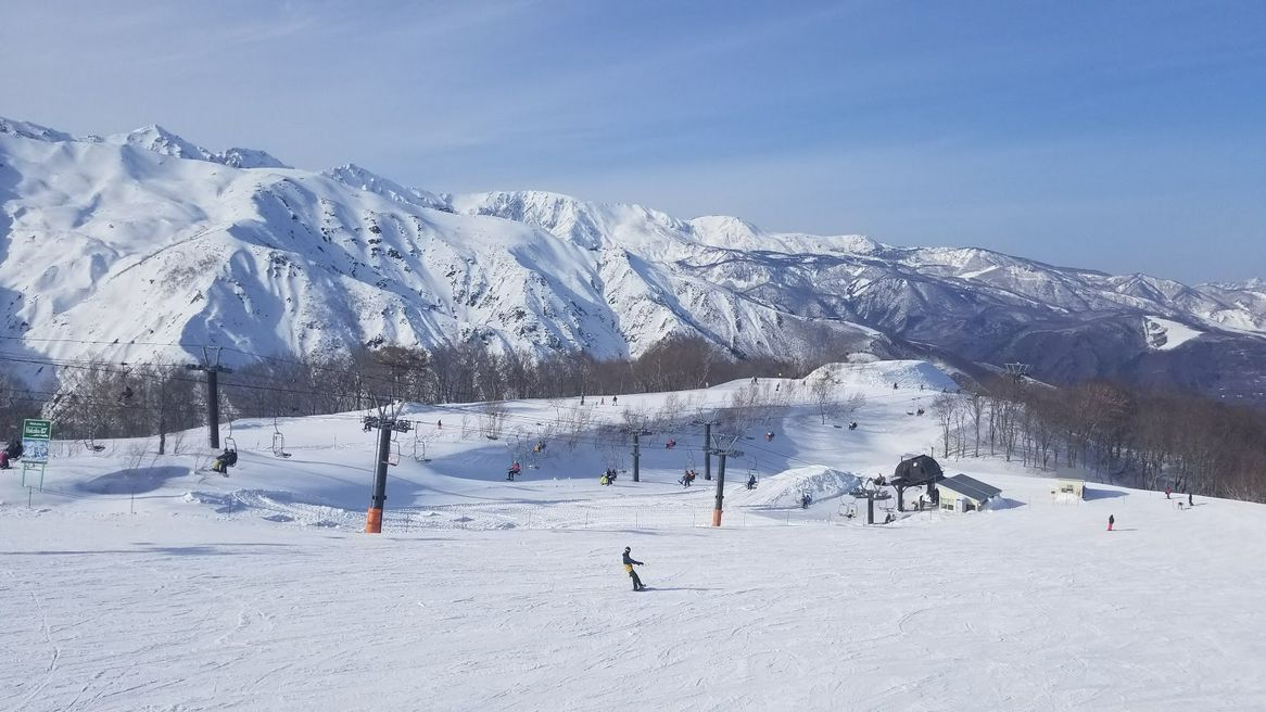 Hakuba47 ウインタースポーツパーク 長野 Matcha やさしい日本語