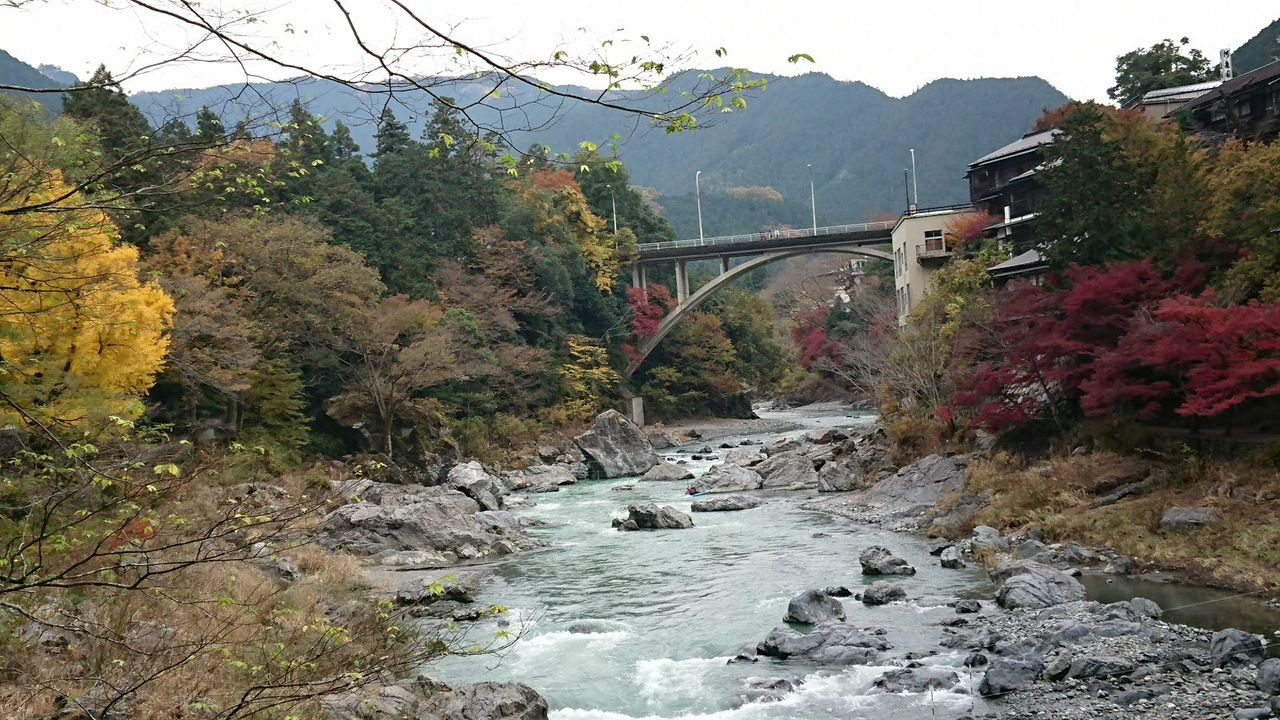 21年版 見ごろはいつ 東京のオススメ紅葉名所10選 Matcha 訪日外国人観光客向けwebマガジン