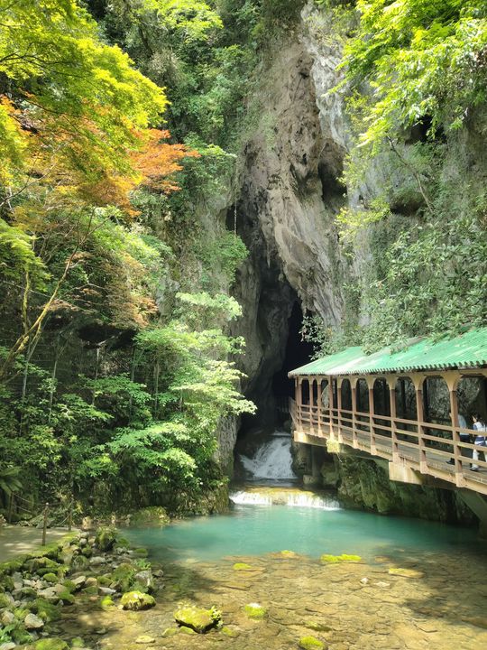 Akiyoshidai Plateau - A Breathtaking Karst Landscape In Yamaguchi ...