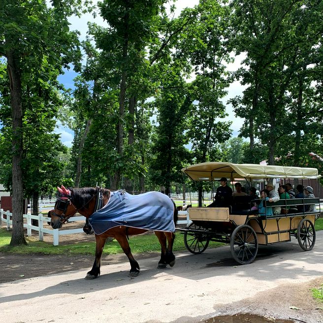 Northern Horse Park Hokkaido Matcha Japan Travel Web Magazine