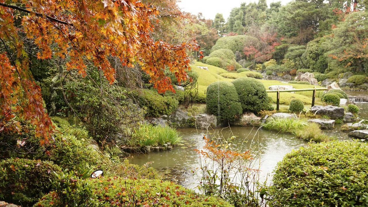 Taizoin Temple, Kyoto - Try 7-Minute Zen Meditation With Candy | MATCHA ...